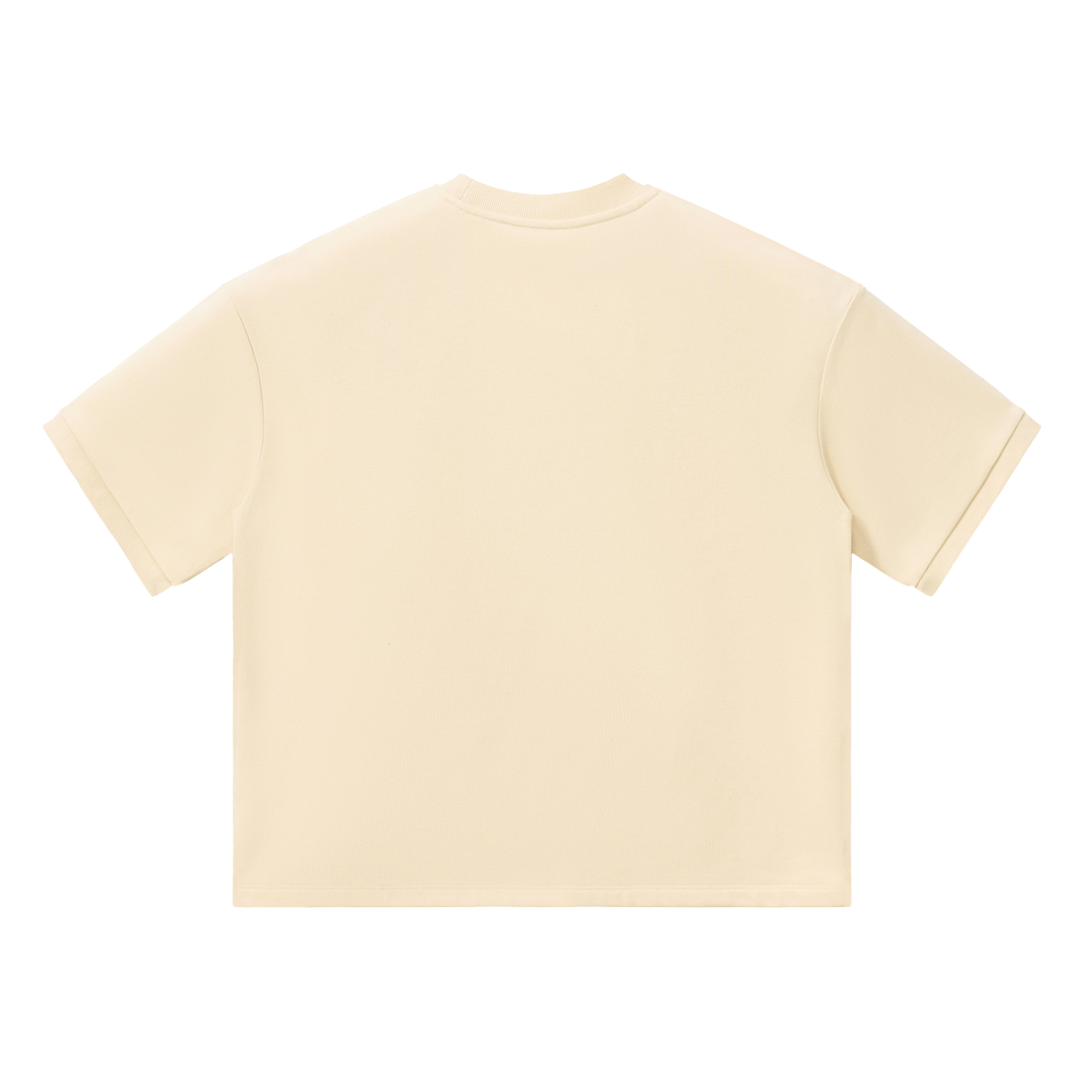 Heavyweight Boxy T-Shirt / BEIGE